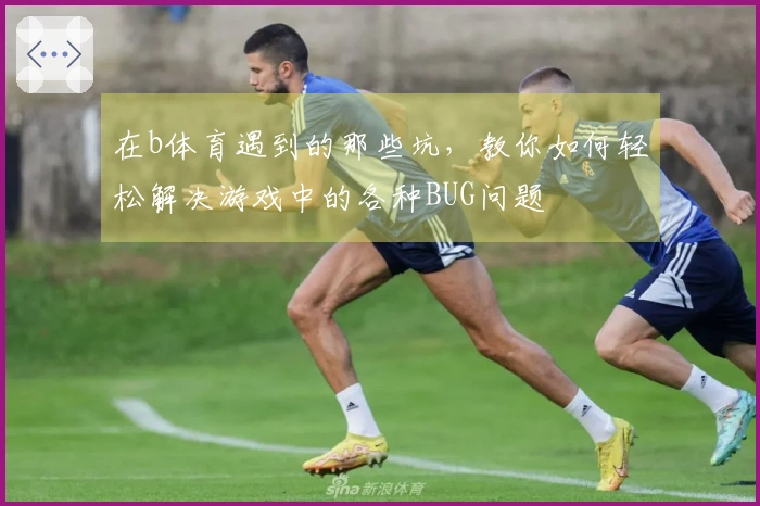 在b体育遇到的那些坑，教你如何轻松解决游戏中的各种BUG问题