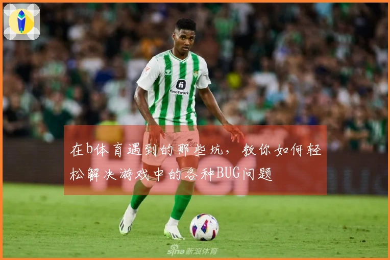 在b体育遇到的那些坑，教你如何轻松解决游戏中的各种BUG问题